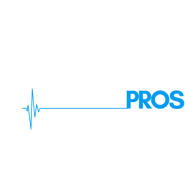 Pulse Cleaning Pros